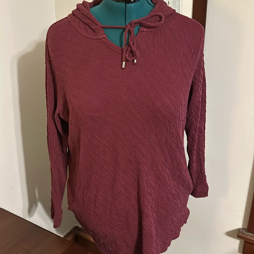J.Jill Hoodie Tunic